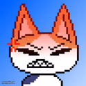 Catto boi Angry