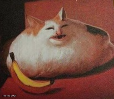 cet - meme generator image preview