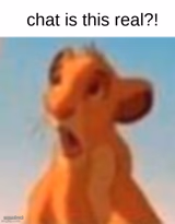 Surprised Simba Chat