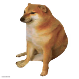 cheems