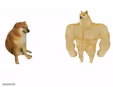 Cheems Vs Buff Cheems