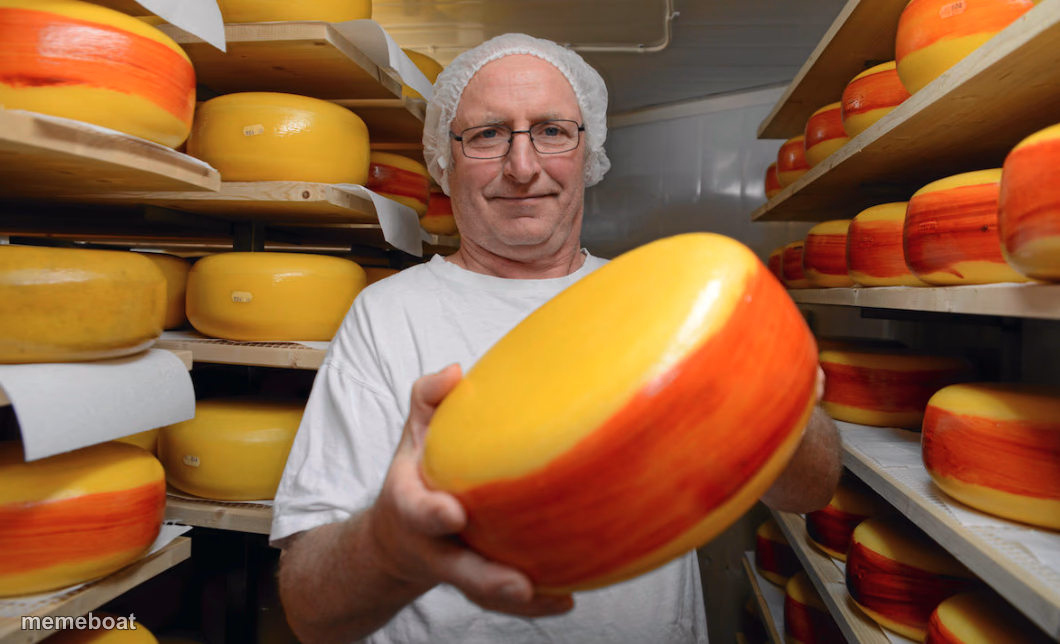 Cheese life - meme generator image preview