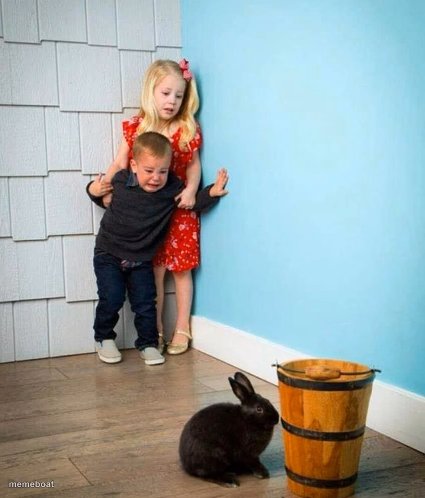 Children scared of rabbit - meme generator image preview