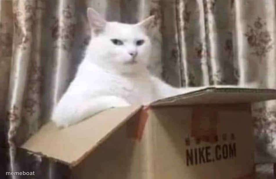 Cat In Nike Box - meme generator image preview