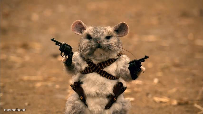 chinchilla warrior - meme generator image preview