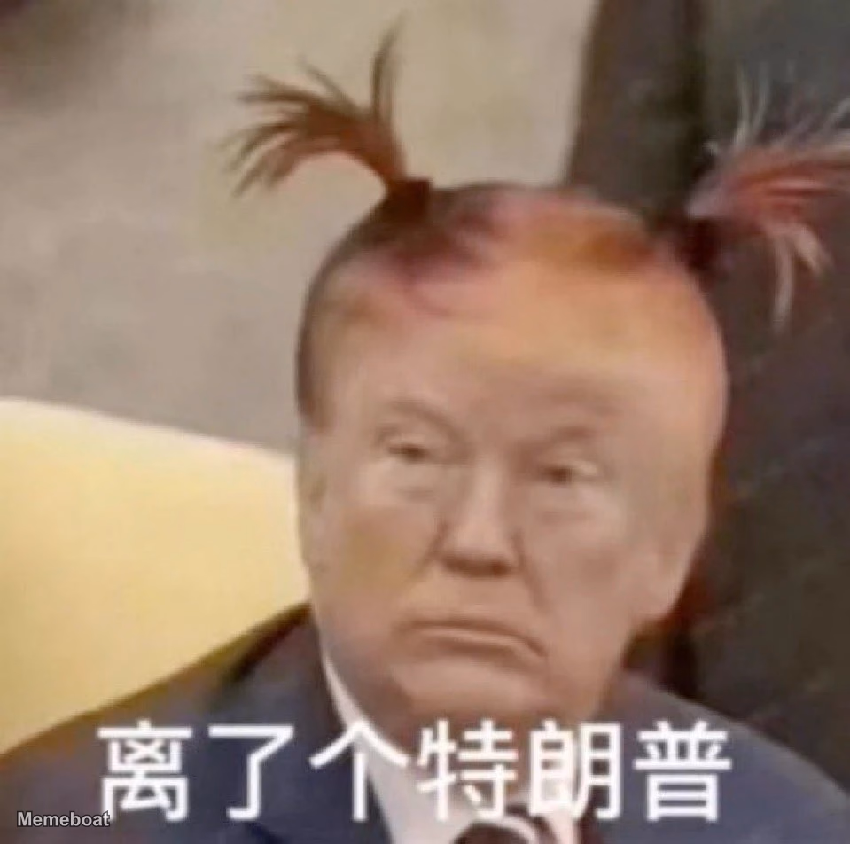 Chinese Baby Trump Pigtails - meme generator image preview