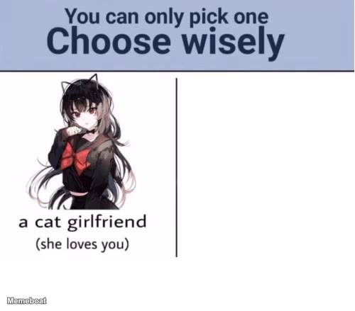 Choose Wisely Blank Two-Way - meme generator image preview
