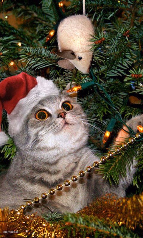 Christmas Cat stuck in a tree - meme generator image preview