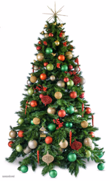 Christmas tree