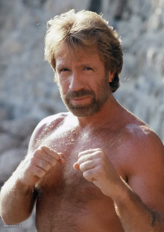 Chuck Norris Fighting - meme generator image preview