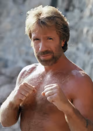 Chuck Norris Fighting