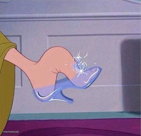 Cinderella shoe - meme generator image preview