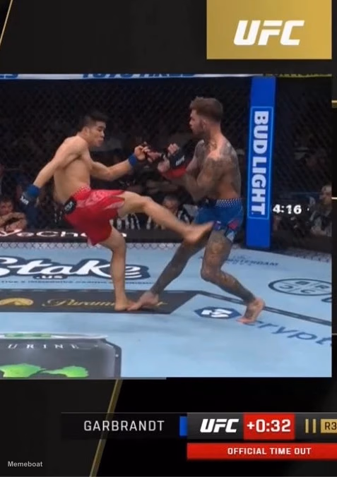 Cody Garbrandt Kicked in the Nuts - meme generator image preview