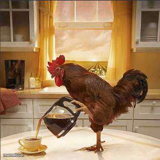Rooster Pouring Coffee - meme generator image preview