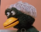 Concerned Duck