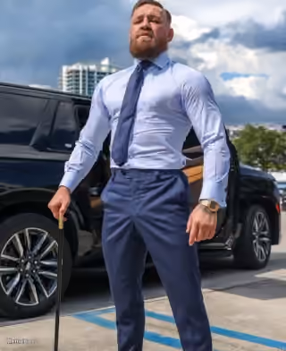 Conor McGregor Ireland, You're President