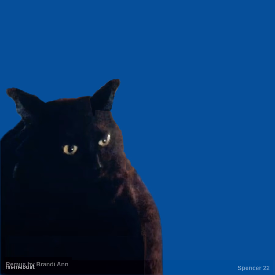 Contemplate Cat - meme generator image preview