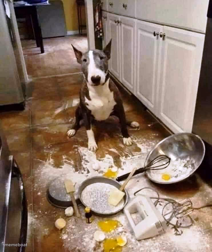 Cooking - meme generator image preview