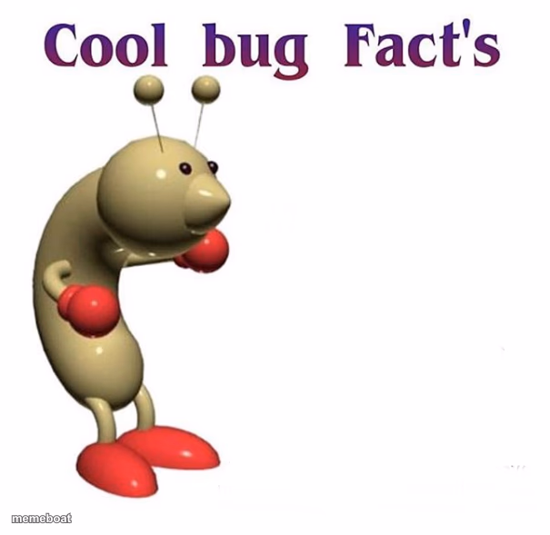 Cool Bug Facts - meme generator image preview