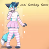 cool femboy facts