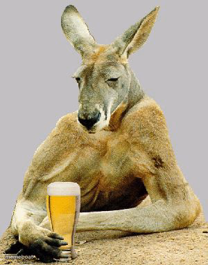 Cool Kangaroo - meme generator image preview