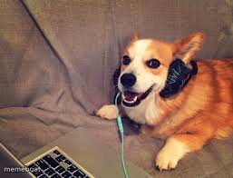 corgi headphones - meme generator image preview