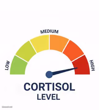 Cortisol Level High