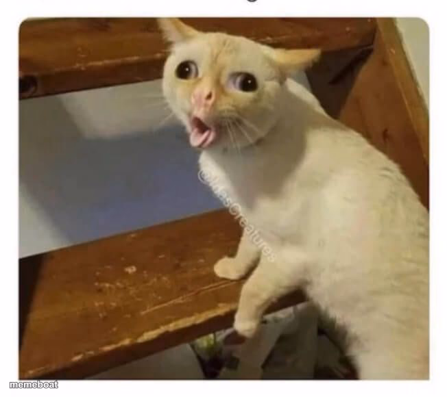 Coughing Cat - meme generator image preview