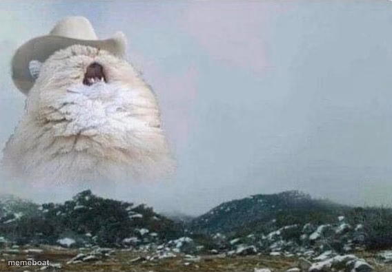 Country Cat - meme generator image preview