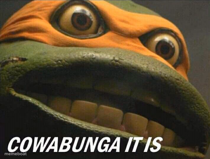 Cowabunga it is - meme generator image preview