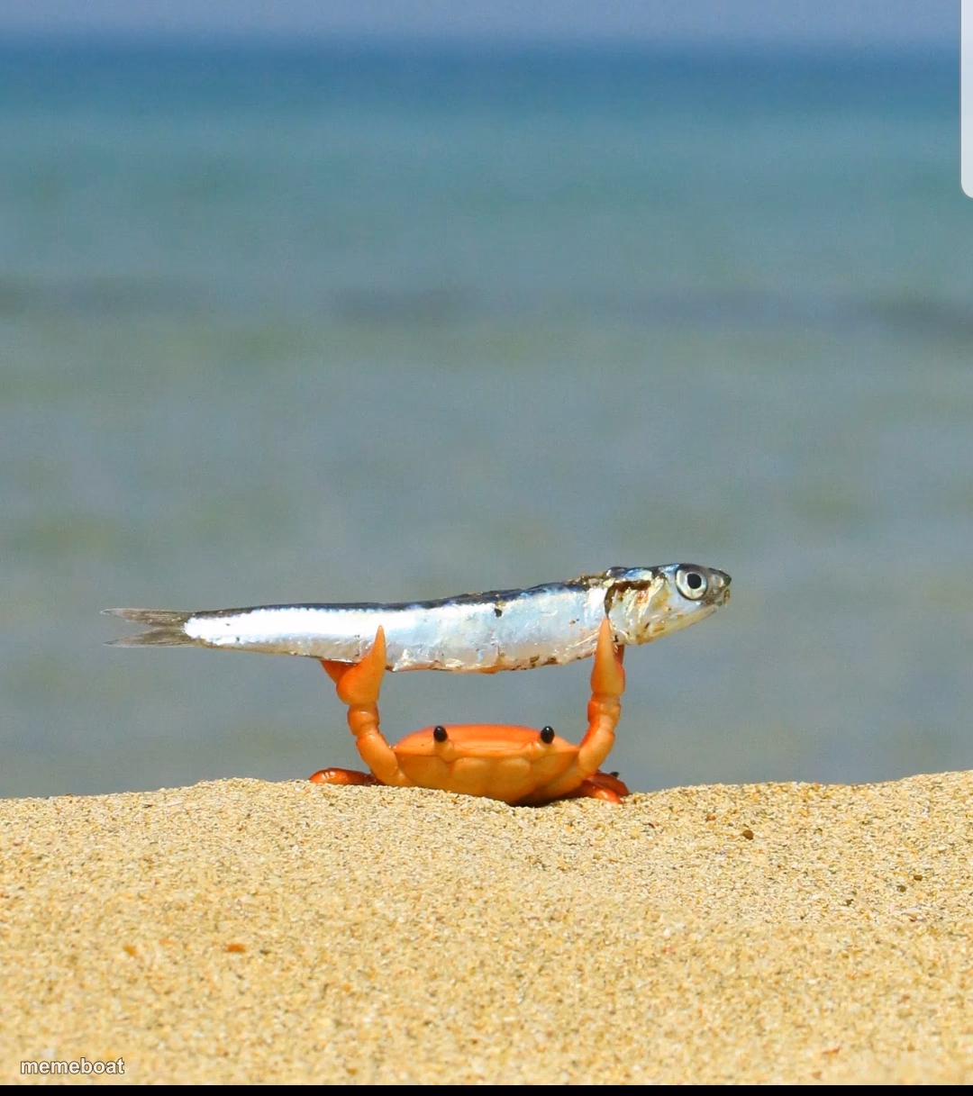 Crab holding a fish - meme generator image preview