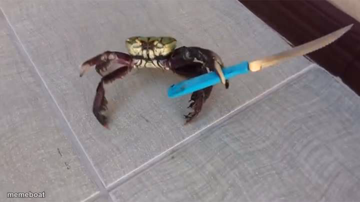 Crab knife - meme generator image preview