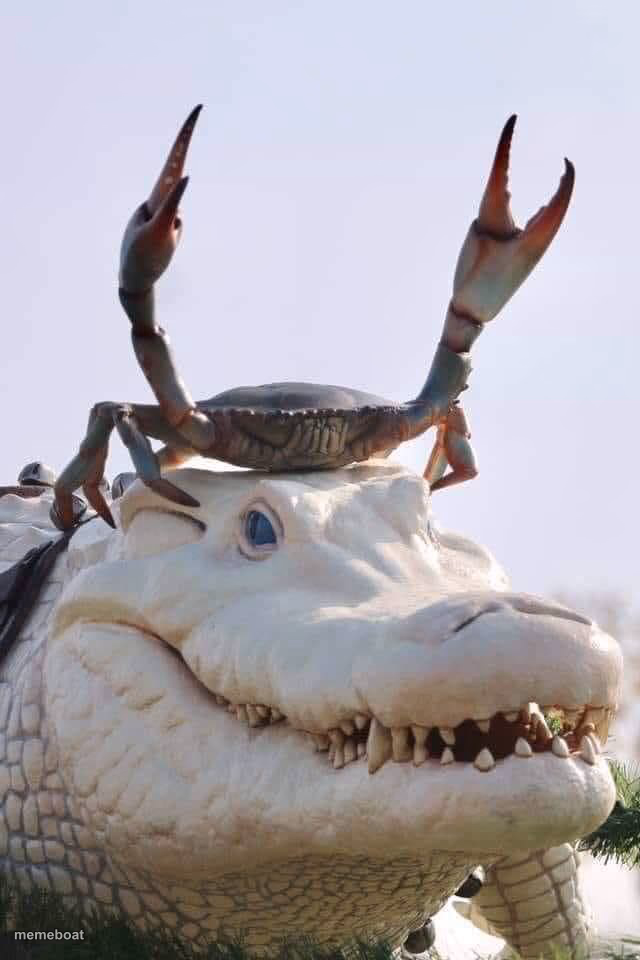 Crab on Crocodile - meme generator image preview