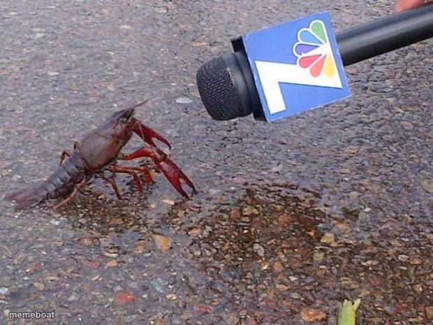 Crawfish Interview - meme generator image preview
