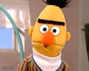 Confused Bert