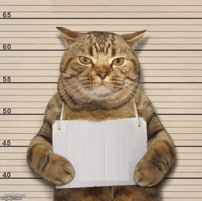 Criminal Cat - meme generator image preview