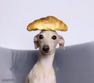 Croissant Dog - meme generator image preview