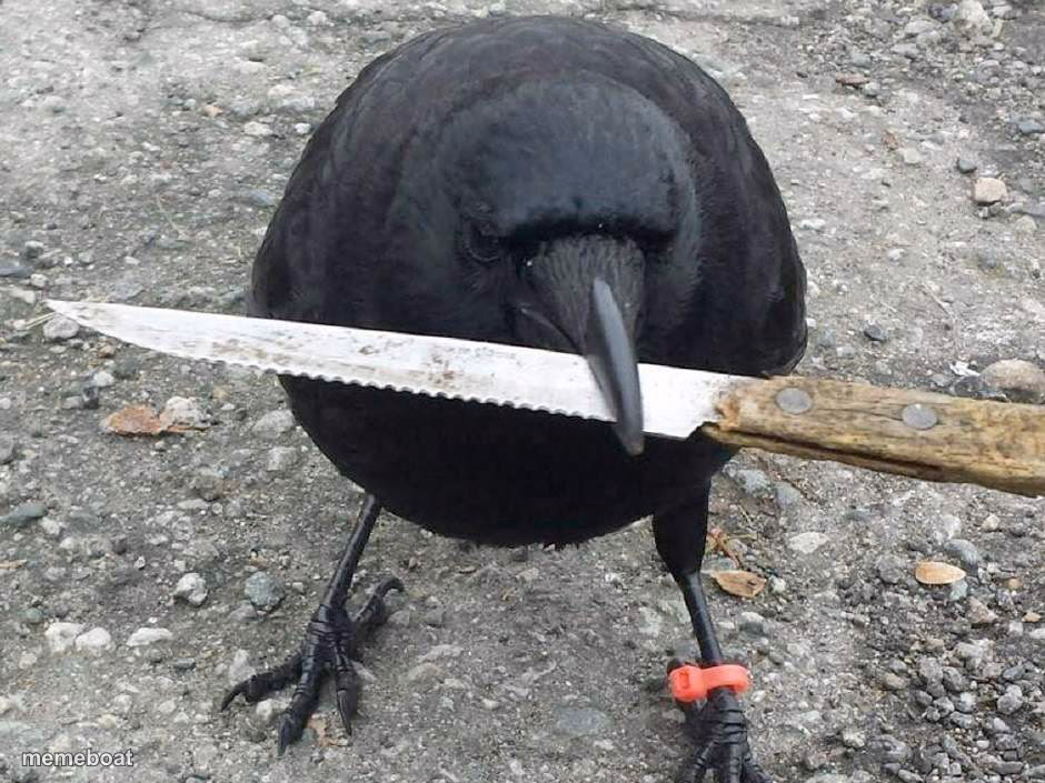Crow With Knife - meme generator image preview