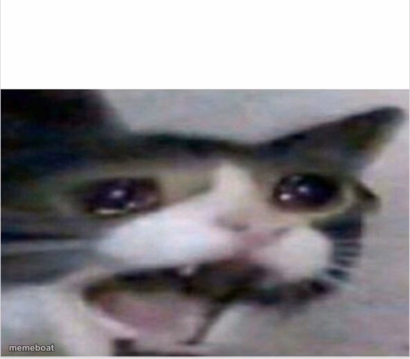 crying cat - meme generator image preview