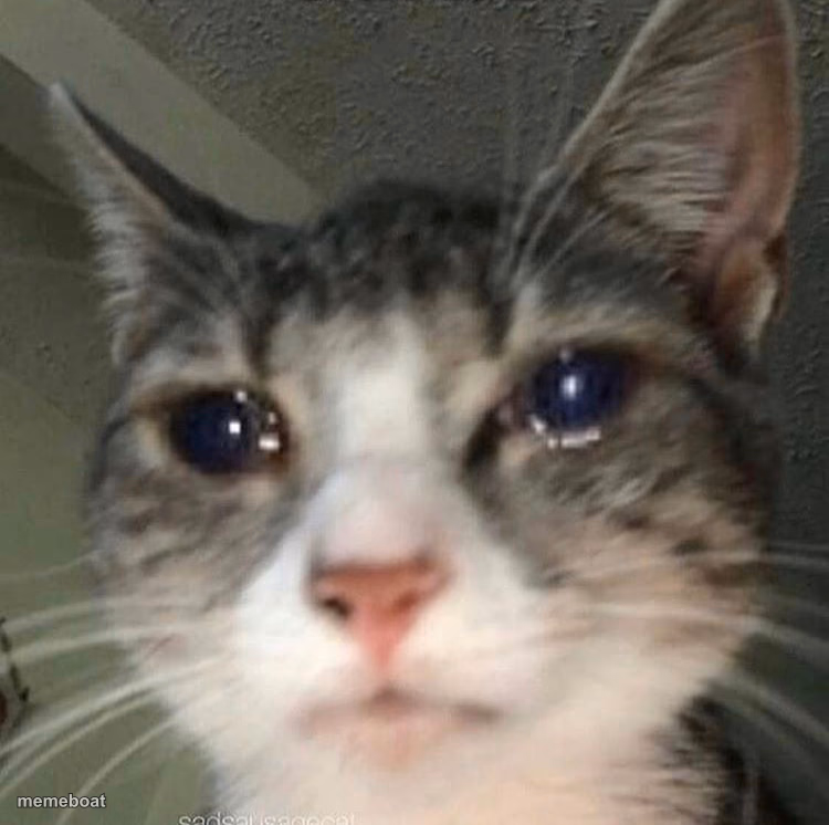 Crying Cat - meme generator image preview