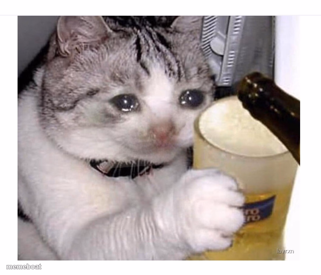 Crying Cat Drinking Beer - meme generator image preview