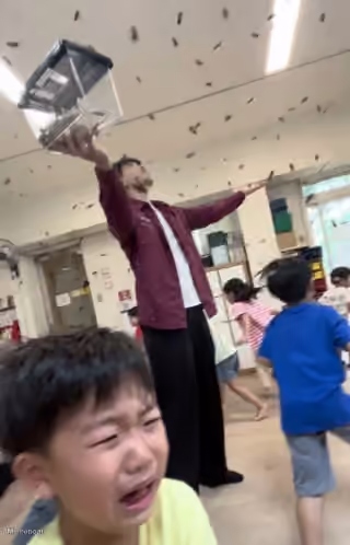 Crying Child Releases Bees Classroom Chaos