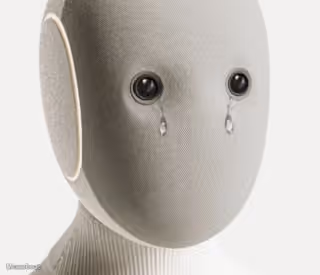 Crying Robot