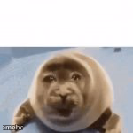 crying seal - meme generator image preview
