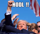 Trump Fist Pump HODL