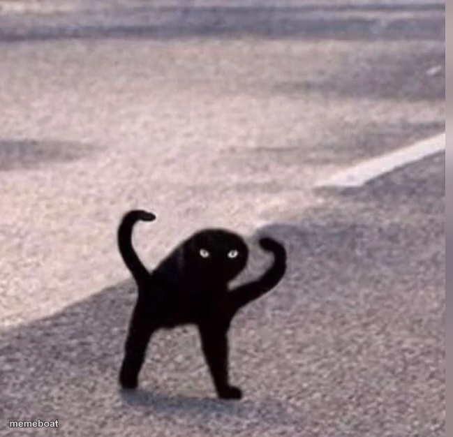 Cursed Cat - meme generator image preview