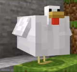 Cursed chicken