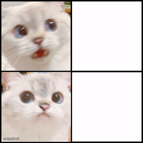 cute white cat template - meme generator image preview