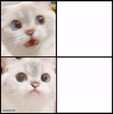 cute white cat template