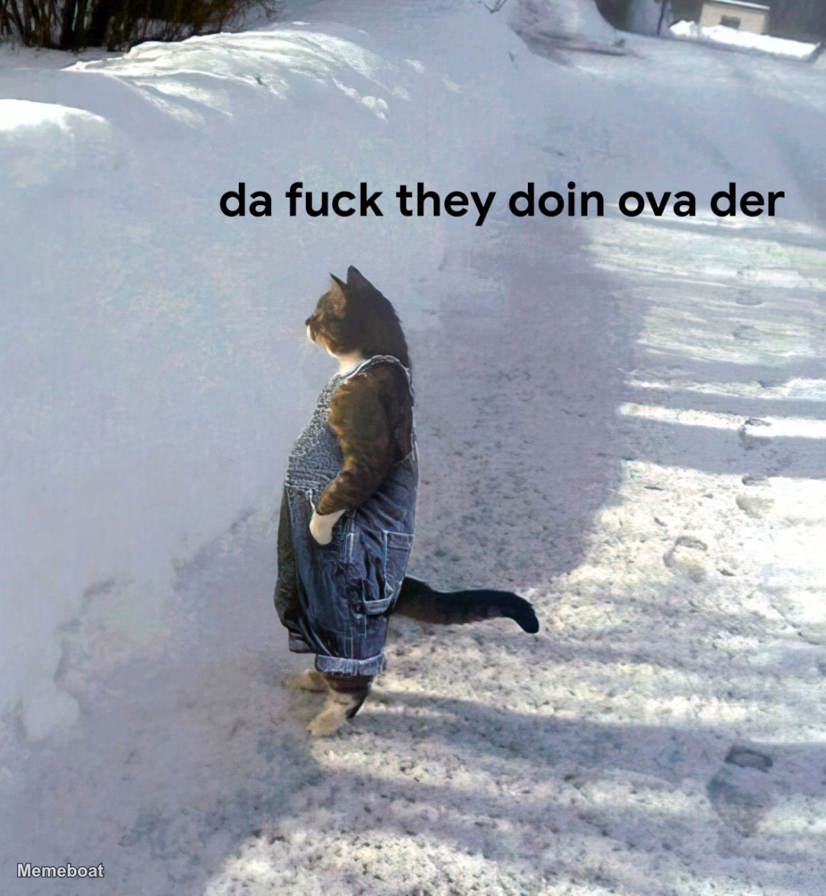 Da Fuck They Doin Ova Der - meme generator image preview